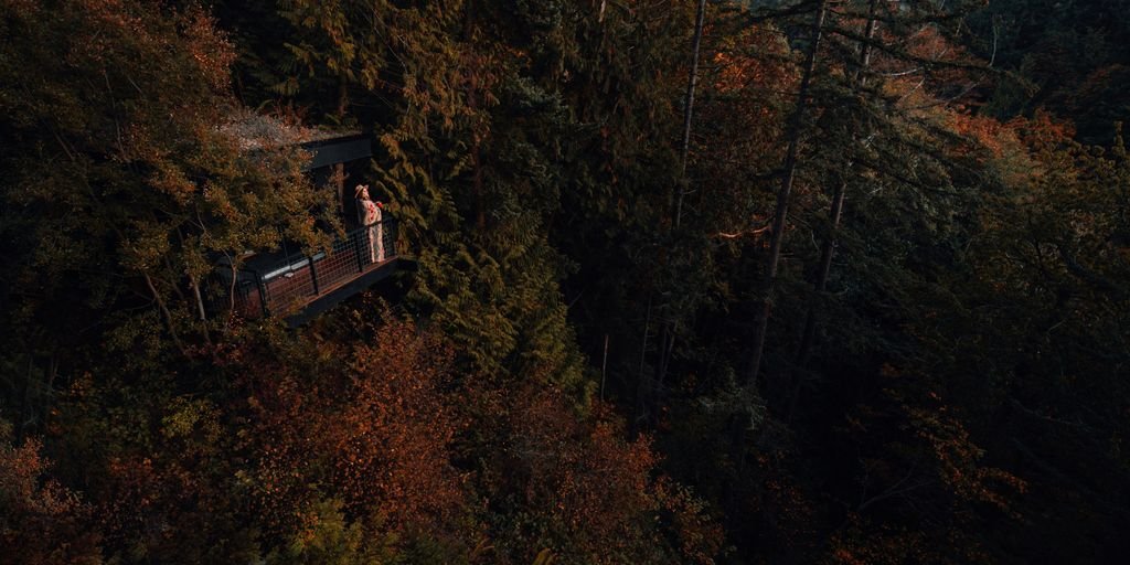 brown wooden house on top of brown and green trees