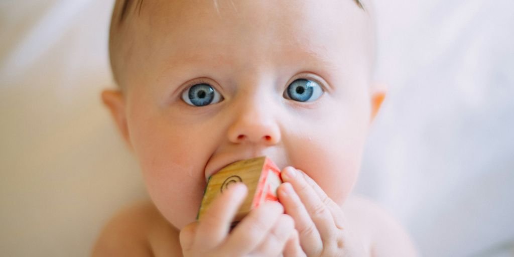 selective focus photography of baby holding wooden cube
